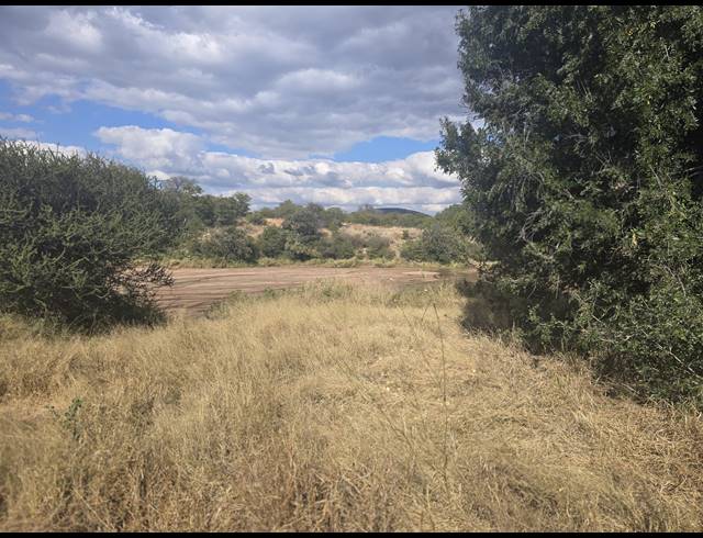 22.40HA FARM FOR SALE IN MOPANE